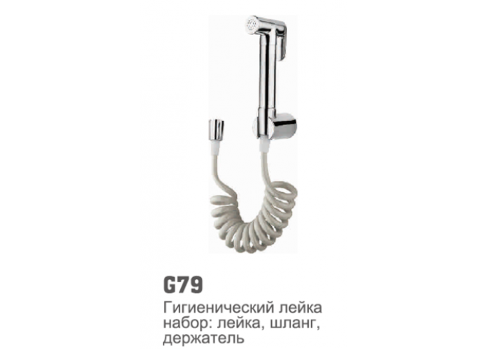 79G Accoona Лейка гигиеническая (латунь) + шланг "пружина"
